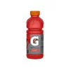 Gatorade Fruit Punch